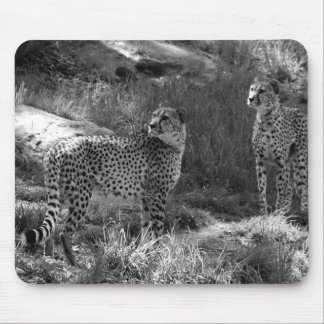 Gepard-Mausunterlage Mousepad