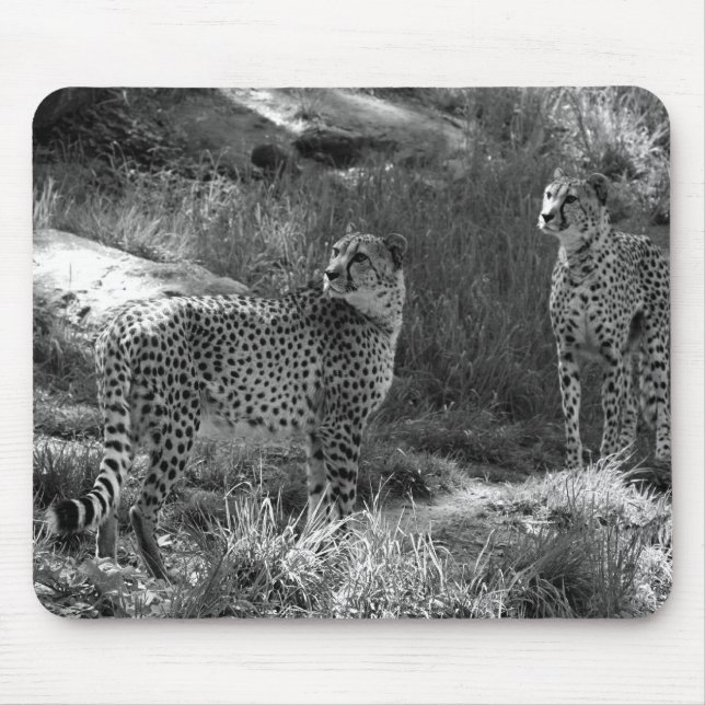 Gepard-Mausunterlage Mousepad (Vorne)
