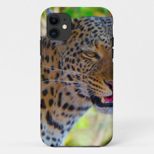 Gepard mit Flecken iPhone 11 Hülle