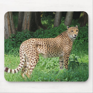 Gepard Mousepad