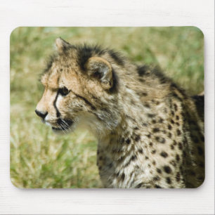 Gepard Mousepad