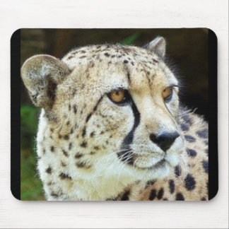 Gepard Mousepad