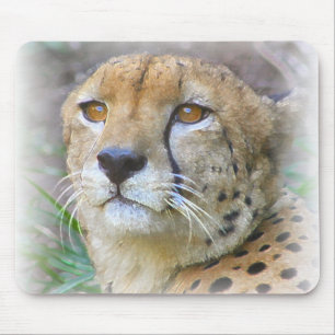 Gepard Mousepad