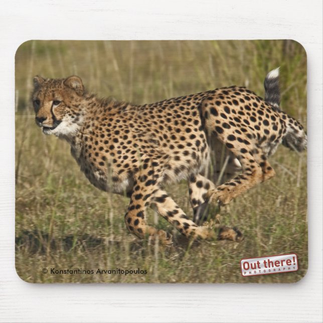 Gepard Mousepad (Vorne)