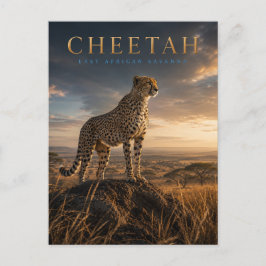 Gepard ostafrikanische Savanne TIERKUNST Postkarte