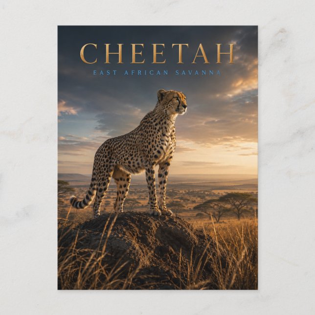 Gepard ostafrikanische Savanne TIERKUNST Postkarte (Vorderseite)