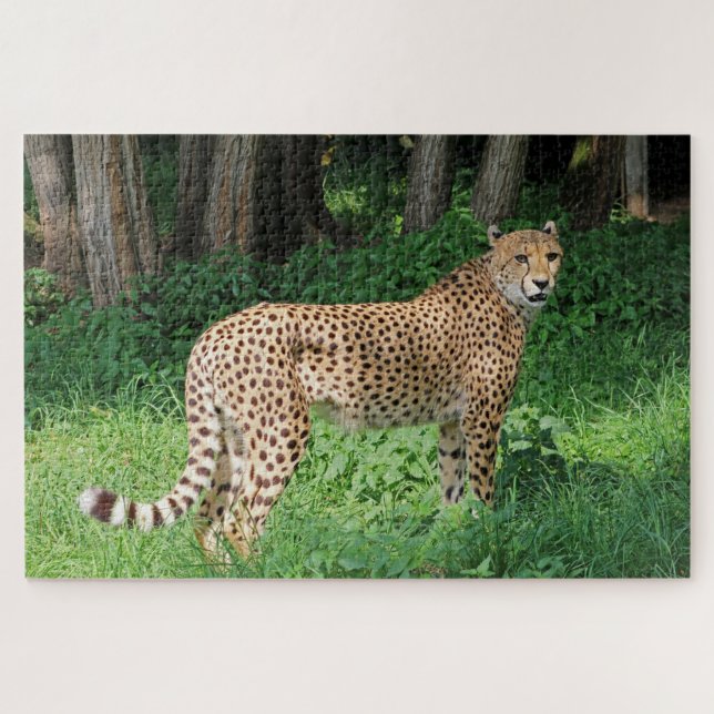 Gepard Puzzle (Horizontal)