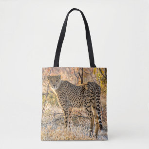 Gepard schaut sich um