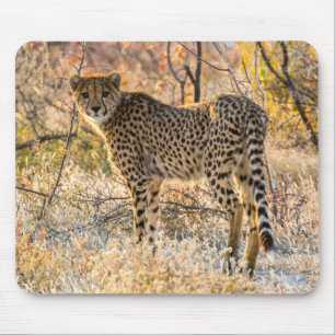 Gepard schaut sich um mousepad