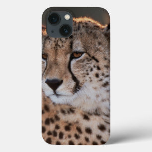 Gepard schaut weg Case-Mate iPhone hülle
