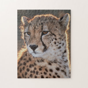 Gepard schaut weg puzzle