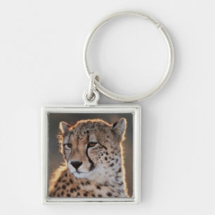 Gepard schaut weg schlüsselanhänger