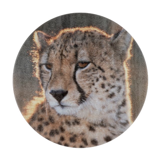 Gepard schaut weg schneidebrett (Vorderseite)