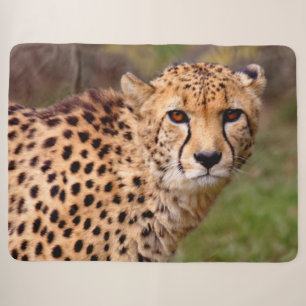Gepard Sherpa Decke Sherpadecke