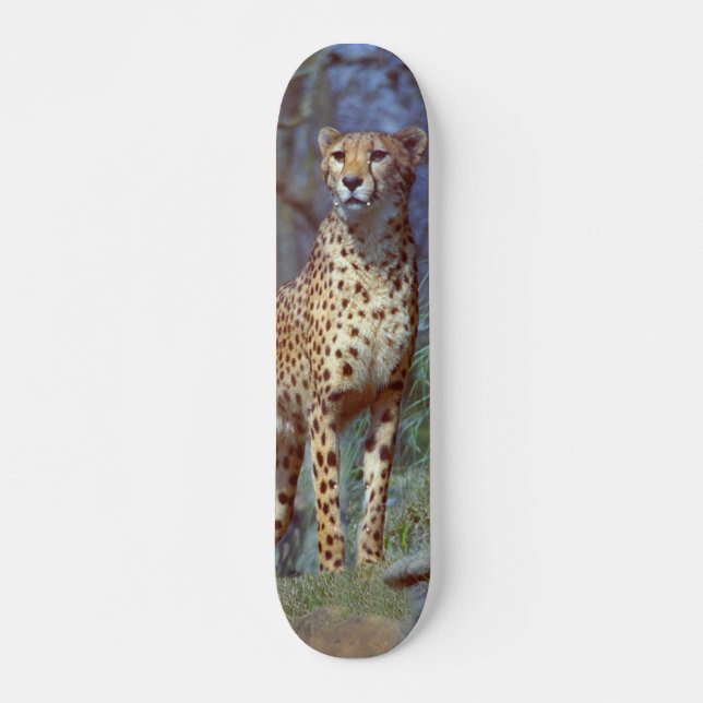 Gepard-Skateboard Skateboard (Vorne)