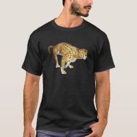 Gepard