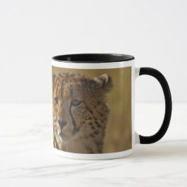 Gepard Tasse