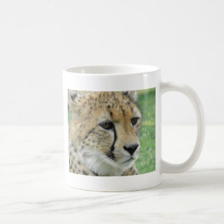 Gepard Tasse