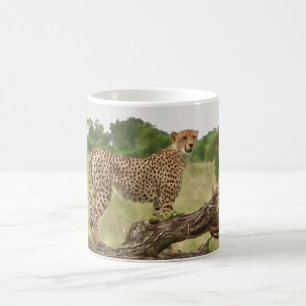 Gepard Tasse