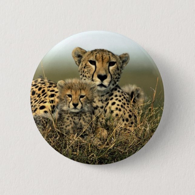 Gepard und CUB Button (Vorderseite)