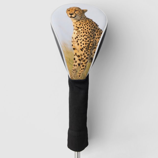 Gepard-Wildtier Big Cat Foto Golf Headcover (Vorderseite)