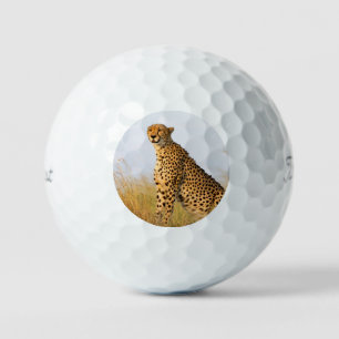 Gepard-Wildtier Big Cat Foto Golfball