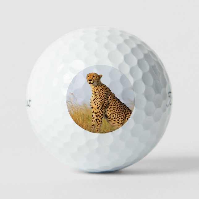 Gepard-Wildtier Big Cat Foto Golfball (Vorderseite)