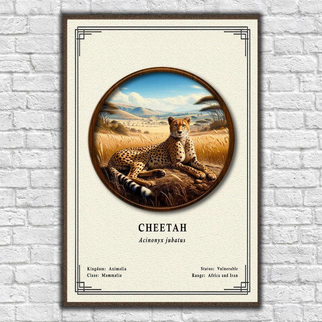 Gepard-Zoologie-Serie Poster (Von Creator hochgeladen)