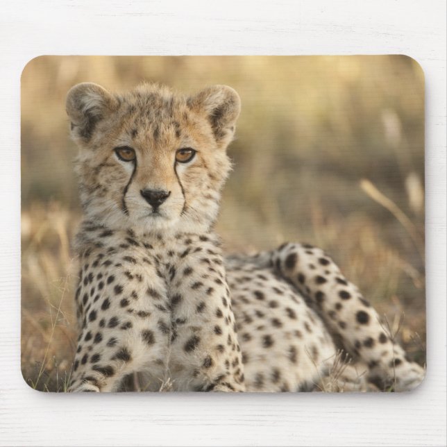 Geparden, Acinonyx jubatus Mousepad (Vorne)