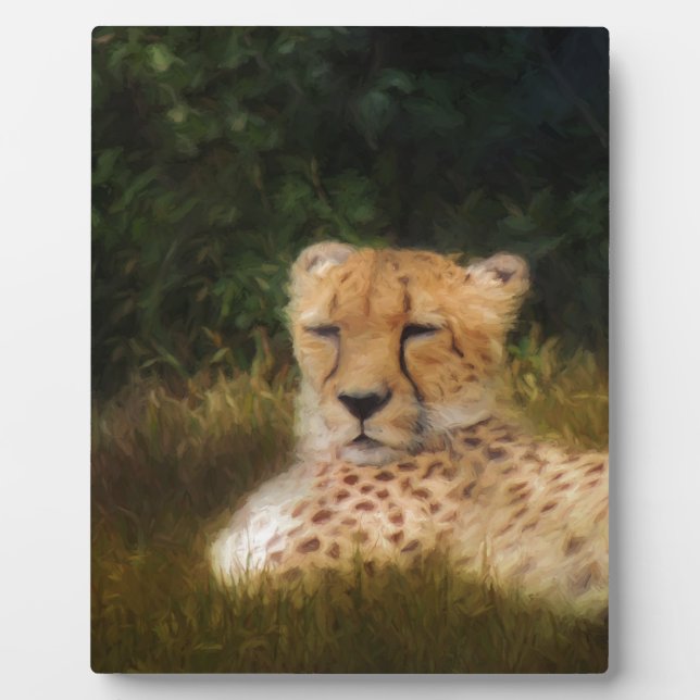 Geparden im Fossil Rim Wildlife Centre Fotoplatte (Vorderseite)