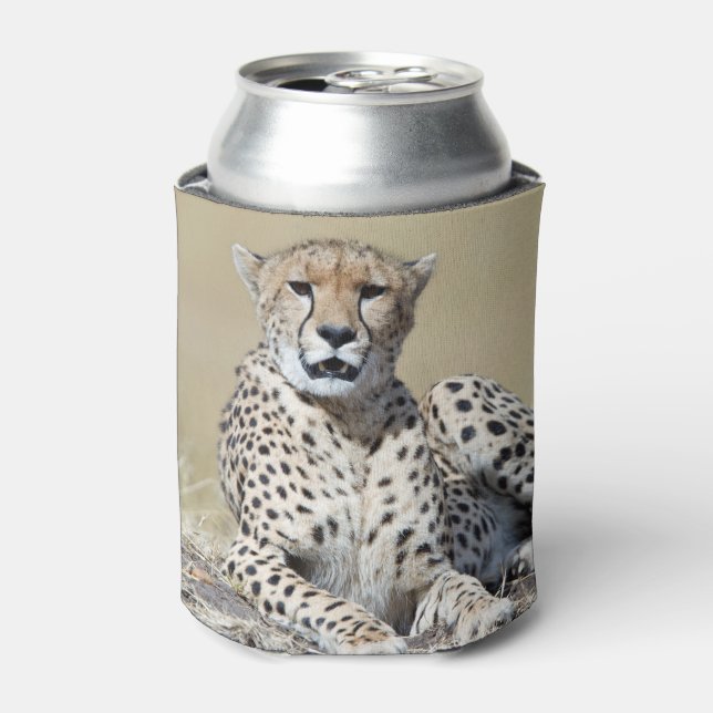 Geparden im Masai Mara im kenianischen Foto Dosenkühler (Kanne Vorderseite)