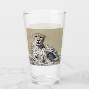 Geparden im Masai Mara im kenianischen Foto Glas