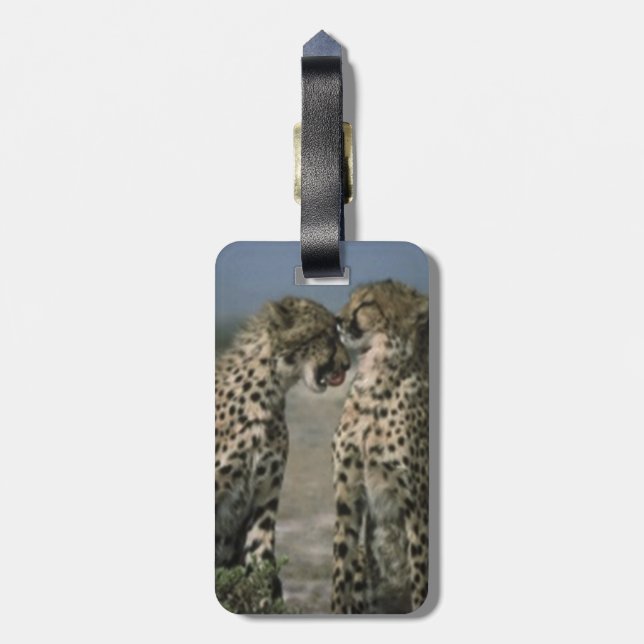 Geparden in Liebe Gepäckanhänger (Rückseite vertikal)