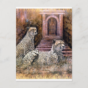 Geparden Postkarte