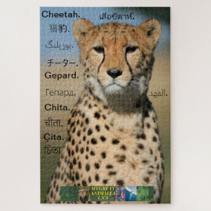 Geparden-Puzzle, in verschiedenen Sprachen. Puzzle