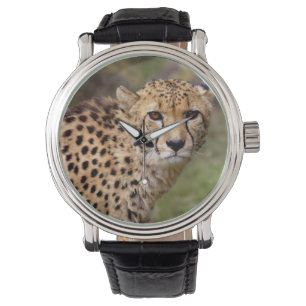 Gepardenbeobachtung Armbanduhr