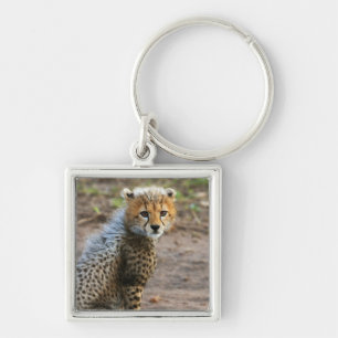 Gepardenjunges Acinonyx Jubatus) Schlüsselanhänger