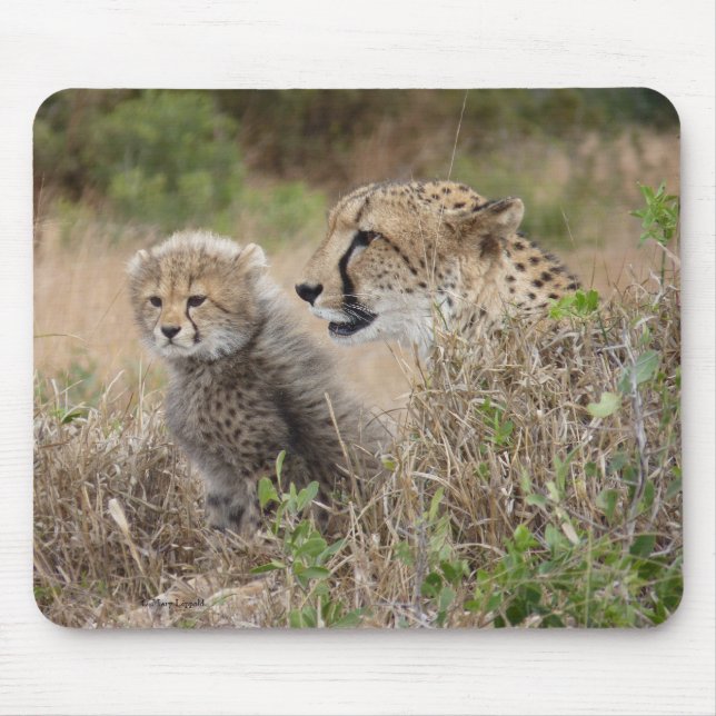 Gepardenmutter und Jungtier Mousepad (Vorne)