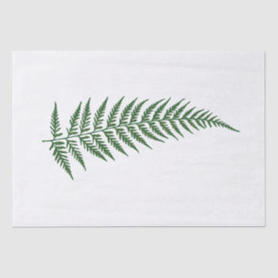 Gepresstes botanisches Farn-Blatt - Mischungs-und Seidenpapier