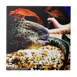 Gepunktet Eel Fliese