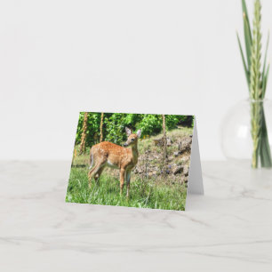 Gepunktet Fawn Karte