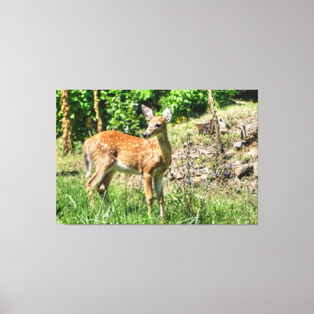 Gepunktet Fawn Leinwanddruck (Vorderseite)