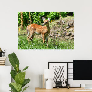 Gepunktet Fawn Poster