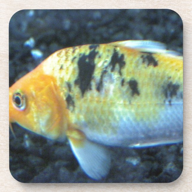 Gepunktet Goldfish Untersetzer (Vorderseite)