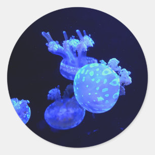 Gepunktet Lagoon Jelly #1 Stickers
