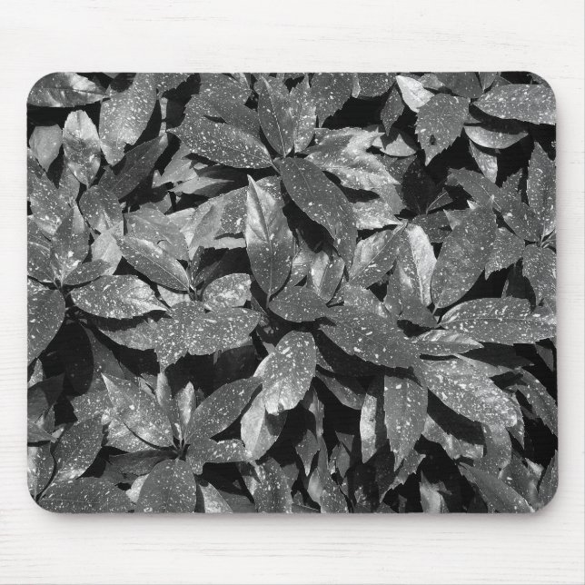 Gepunktet Laurel, Aucuba Japonica - B/W Mousepad (Vorne)