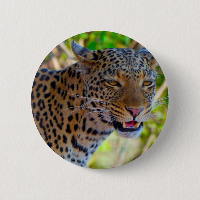 Gepunktet Leopard Button (Vorderseite)