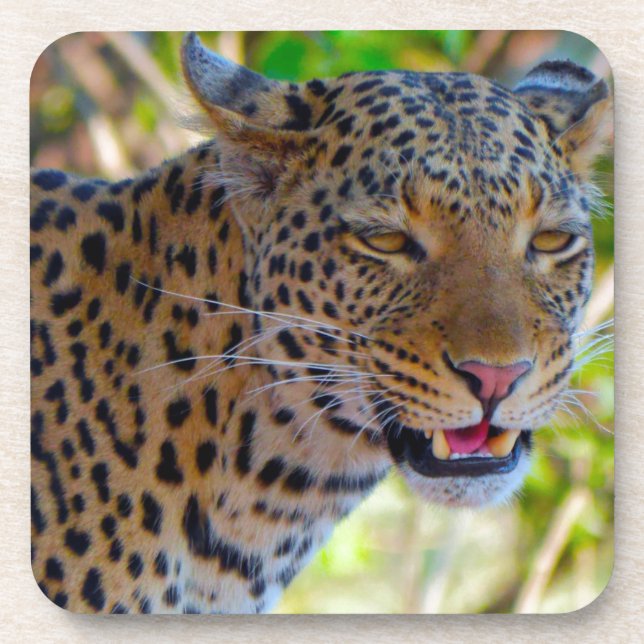 Gepunktet Leopard Getränkeuntersetzer (Vorderseite)