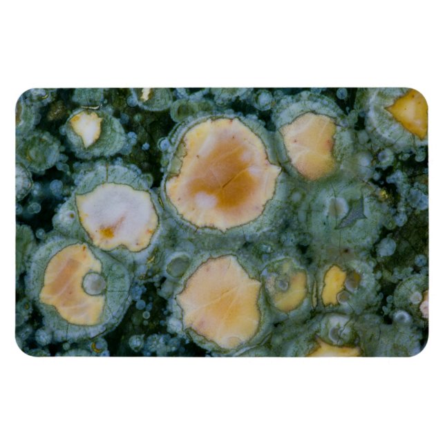 Gepunktet Ocean Jasper Magnet (Horizontal)