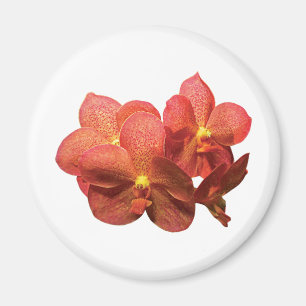 Gepunktet Orange Orchids Magnet